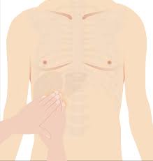 Image result for Murphy Sign