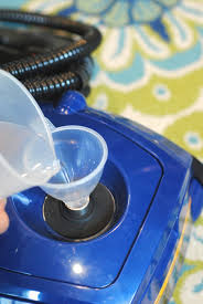 All steam cleaners are not built for the high demands and the diverse needs of the commercial and fortador's line of steamers gives you the flexibility to add a cleaning agent when necessary. 8 Amazing Uses For A Steam Cleaner Making Lemonade