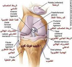 في الألعاب الرياضية وجراحة العظام، تمزق الغضروف الهلالي (بالإنجليزية: ØªÙ…Ø²Ù‚ Ø§Ù„ØºØ¶Ø±ÙˆÙ Ø§Ù„Ù‡Ù„Ø§Ù„ÙŠ Ù„Ù„Ø±ÙƒØ¨Ø© Ø¥Ù† ØªÙ…Ø²Ù‚ Ø§Ù„ØºØ¶Ø±ÙˆÙ Ø§Ù„ØµÙ„ÙŠØ¨ÙŠ Ù‡Ùˆ Ù…Ù† Ø£ÙƒØ«Ø± Ø¥ØµØ§Ø¨Ø§Øª Ø§Ù„Ø±ÙƒØ¨Ø© Ø´ÙŠÙˆØ¹Ø§ Ø®Ø§ØµØ© Ø§Ù„Ø±ÙŠØ§Ø¶ÙŠØ© Ù…Ù†Ù‡Ø§ ÙˆÙŠØµÙŠØ¨ ÙƒÙ„ Ø§Ù„ÙØ¦Ø§Øª Ø§Ù„Ø¹Ù…Ø±ÙŠØ© ÙŠÙ‚ÙˆÙ… Ø§Ù„ØºØ¶Ø±ÙˆÙ Ø¨Ø¥Ù…ØªØµØ§Øµ Ø§Ù„Ø¶ØºØ· Ø§Ù„Ø­Ø§ØµÙ„ Ø¹Ù„Ù‰ Ø§Ù„Ø±ÙƒØ¨Ø© ÙˆÙŠØ³Ø§Ù‡Ù… ÙÙŠ Ø¥Ø³ØªÙ‚Ø±Ø§Ø±