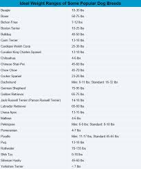 22 logical kitten healthy weight chart