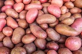 Nature wallpaper red berry`s up close macro. Growing Red Potatoes Top Tips