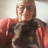 10+ "Anne Holmlund" profiles