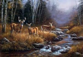 We have a massive amount of desktop and if you're looking for the best whitetail deer backgrounds then wallpapertag is the place to be. Widescreen Wallpaper Deer Src Cool Whitetail Deer 2295x1570 Download Hd Wallpaper Wallpapertip