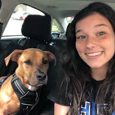 Gray Vault Tec bag availability?