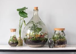 Crested gecko terrariums for sale. How To Make A Terrarium