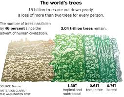 Why should we spend all that money on wildlife when we could spend it to stop people you may perhaps be feeling that all this talk of economics and growth is strange. Scientists Discover That The World Contains Dramatically More Trees Than Previously Thought The Washington Post