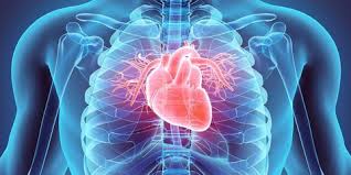 Seperti yang dikatakan oleh vincent bufalino, juru bicara american heart association, gejala serangan jantung sering bias dengan gejala atau tanda penyakit lainnya sehingga kerap diabaikan. Gejala Jantung Koroner Ini Perlu Anda Waspadai