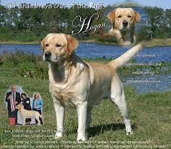 Check spelling or type a new query. Dogs Puppies Price List Puppies For Sale Price Cost Best Dog Breeders