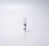 PhenoVue 505 Live Cell Caspase-3/7 Activity Stain