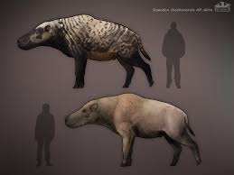 Daeodon Shoshonensis In 2020 Extinct Animals Prehistoric Creatures Prehistoric Wildlife