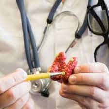 Maybe you would like to learn more about one of these? What Does An Endocrinologist Do Careerexplorer