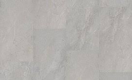 Image result for Ruspolia sp. no. 1 (Biegel 5407)