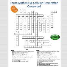 Check spelling or type a new query. Photosynthesis Cellular Respiration Crossword Puzzle By Brilliant Biology