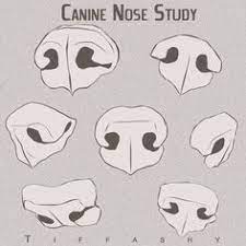 Maybe you would like to learn more about one of these? 17 Draw Animal Noses Ideas Animal Noses Animal Drawings Dog Nose
