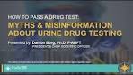 How to Pass a Drug Test: Myths & Misinformation About Urine ...