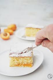 Oma Lore S Marillenkuchen Rezept In 2020 Mit Bildern Kuchen Kuchen Rezepte Backen