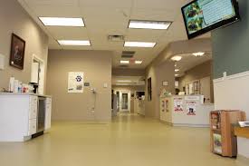 Your veterinarian is a great resource when it comes to which. Animal Hospital In Germantown Md Montgomery County Veterinarian