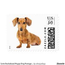 Clik Image To See Today S Price On These Adorable Dachshund Puppy Dog Postage Stamps Unique Gift Idea Get Them For You Dachshund Love Dachshund Art Dachshund