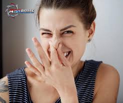 Anthony Botte (@ambotte1)