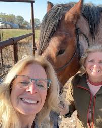 Saying goodbye to Daisy🐴😞 After months of struggling with lameness she is  now at peace and out of pain. Daisy our 16 yr old Belgian Drafthorse came  to us in 2017, and