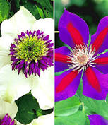 Check spelling or type a new query. 24 95