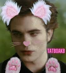 These are the beans of a killer Bella TATBOAKB