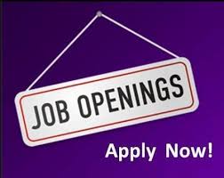 Monster Philippines Connects Job Seekers With Relevant Jobs In Various Industries If You Are Looking For Job Oppo Find Jobs Online Accounting Jobs Job Opening