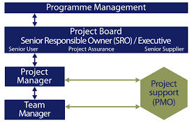 Role Of The Programme And Project Management Offices