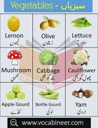 Vegetables Name In Urdu And English With Pictures In 2020 Vegetables Names With Pictures Vegetables English Books Pdf