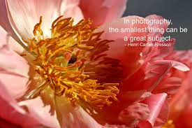 To plant a garden is… 77. Photography Of Flowers Quotes I Love Flowers Sinikka S Snippets Dogtrainingobedienceschool Com