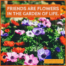237 quotes about flowers and happiness. 57 Flower Quotes To Appreciate Their Beauty Greeting Card Poet