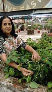 Two Ranchi Women Turn Rooftops Into Organic Farm Ranchi News Times Of India