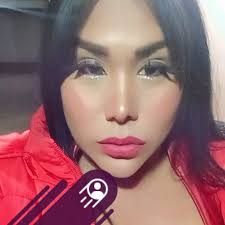 Florida Great Dane Play Date