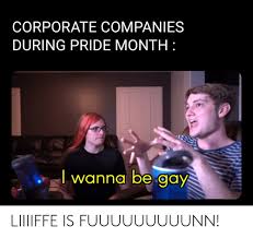 My nephew is 5 years old and i've been a part of his life since he was born. Corporate Companies During Pride Month Wanna Be Gay Liiiiffe Is Fuuuuuuuuunn Dank Meme On Ballmemes Com