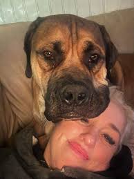 Sabbs No: 0702115 +27827397022 For your consideration. SABBS REGISTERED VET  CHECKED VACCINATED MICROSHIPED DEWORMED WELL SOCIALIZED