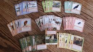 21 biome cards, 10 factor cards, 77 organism cards, 1 small booklet, and 1 card box type of game: Ecologies Card Game Play And Review Does It Have Homeschool Value Youtube