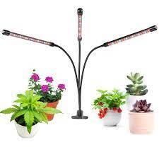 Maybe you would like to learn more about one of these? Fatima Grow Light Reviews Wayfair