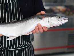 We did not find results for: For Feast Of The 7 Fishes Advice Ask A Fishmonger Bon Appetit