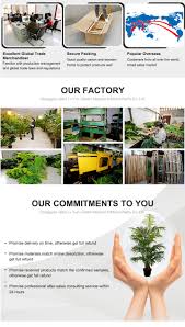 Open a walmart credit card to save even more! Desert Plant 96cm Cactus Ball Artificial Cactus Succulent Cacti Gold Cactus Buy Mexico Cactus Plant Mexico Cactus Tree Artificial Cactus Tree Product On Alibaba Com