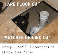 Ceiling cat and the corresponding basement cat (a black cat who lives in the basement) represent good and evil in the lolcat universe, and in. I Are Floor Cat I Watches Ceiling Cat Image 16657 Basement Cat Know Your Meme Meme On Me Me