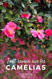 Epingle Sur Horticulture