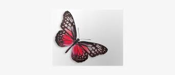 Download monarch butterfly stock vectors. 3d Purple Monarch Butterfly Tattoos Png Image Transparent Png Free Download On Seekpng