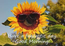 Which is the best good morning love message? 11 Good Morning Sunflower Images That Will Make Anyone Happy