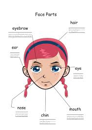 Parts of body esl faqs. Eal Face And Body Parts Worksheets Teaching Resources