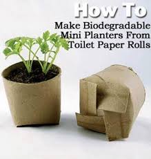 Weekend Wrap Up Grateful For Friends Jardinage Idees Jardin Et Papier Wc