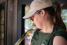 There's a new bongo in town! ✨ We're happy to share that Eastern bongo  Clover gave birth to her second calf this week! A veterinary exam confirmed  the calf is female and