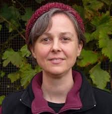 TRANSCEND MEDIA SERVICE » Nonviolence Charter: Progress Report #15 (Oct  2019)