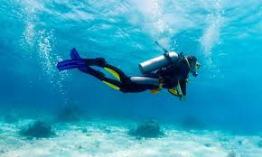 Bermuda Diving Centre Deals And Promotions Dubaisavers Com