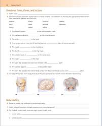 Quickly memorize the terms, phrases and much more. The Language Of Anatomy Review Sheet Exercise 2 Anatomy Drawing Diagram