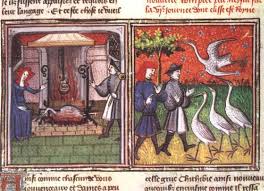 Chichibio serve poi la gru a currado e ai suoi ospiti. Chichibio E La Gru Il Riassunto Della Novella Di Boccaccio 10elol
